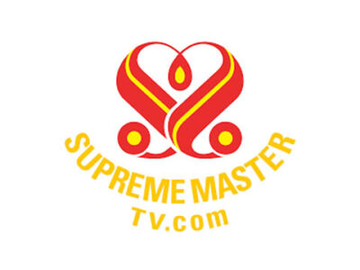 Supreme Master TV Live