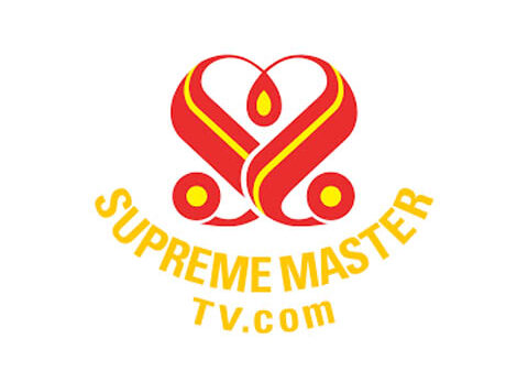 Supreme Master TV Live
