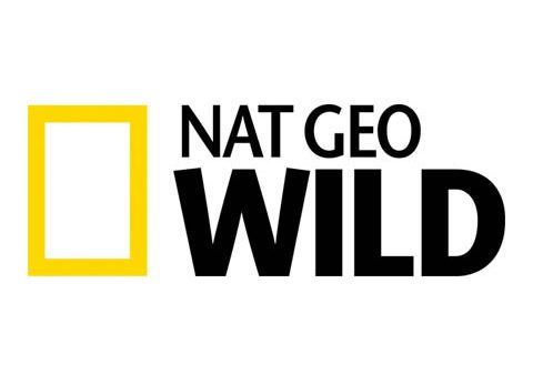 National Geographic Wild Live