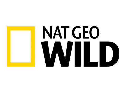 National Geographic Wild Live