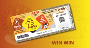 WIN-WIN LOTTERY | W-810 (24/02/2025)